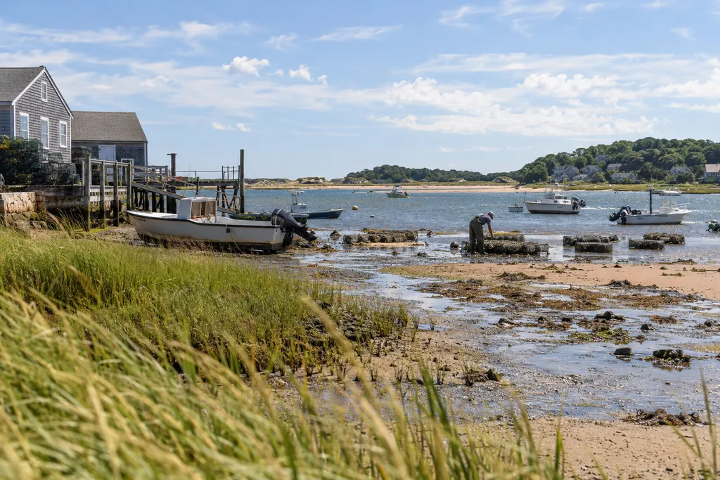 Boats docked on a shore with a house and trees in the background.